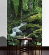 Forest Waterfall Rocks Nature  Photo Wallcovering
