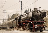 Papier peint photo Polaire | Train | Marron, rouge | 368x254cm (lxh)