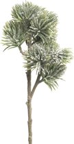 Pinus Spray Mugo gevlokt 58cm