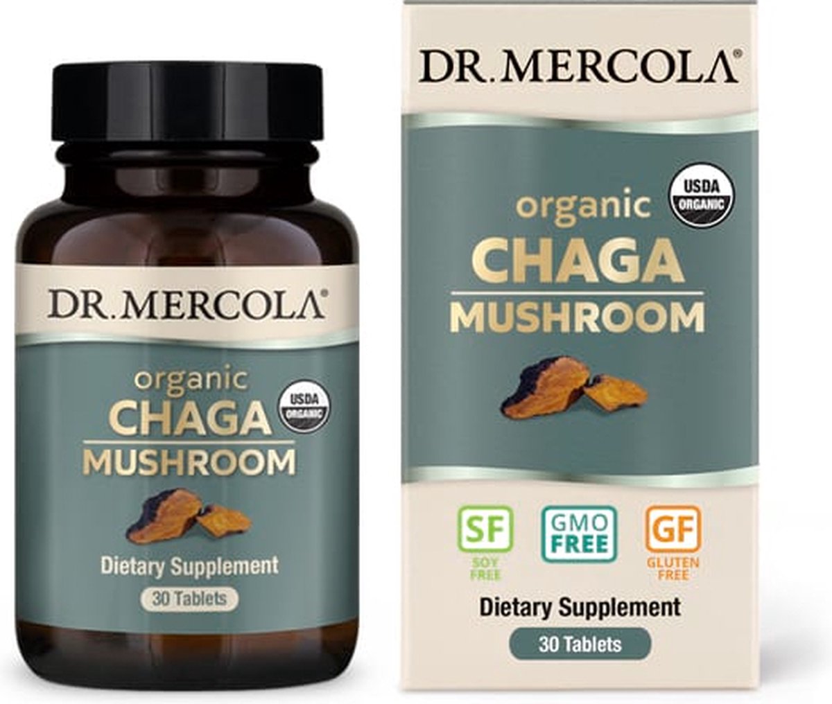Goedkoopste Dr. Mercola - Organic Chaga Mushroom - 30 tabletten