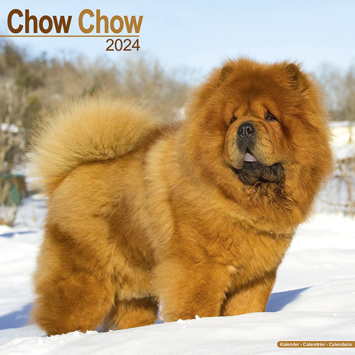 Chow Chow Kalender 2024