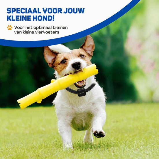 Speciaal voor jouw kleine hond! Voor het optimaal trainen van kleine viervoeters. Een vrolijke hond die rent met een gele toy.