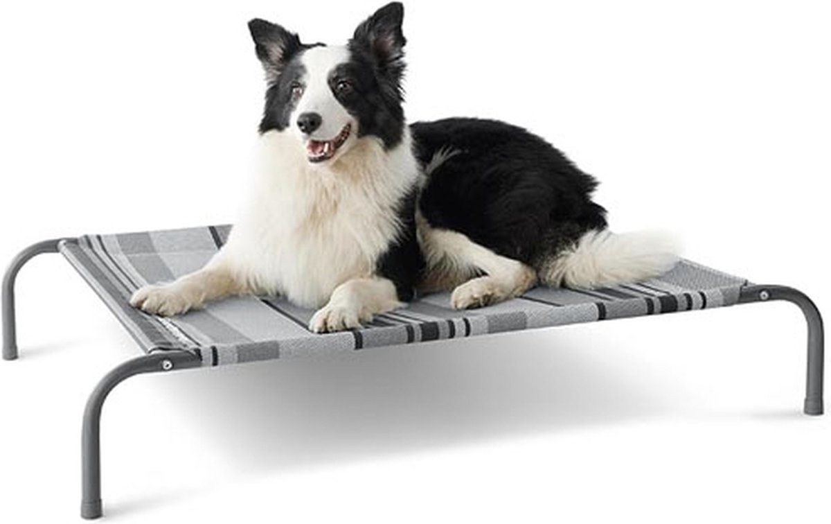 Verhoogd Hondenbed voor Middelgrote Honden - Grijs, Geschikt voor Binnen en Buiten, Camping - Maat M: 105 x 65 cm, Hoogte: 20 cm