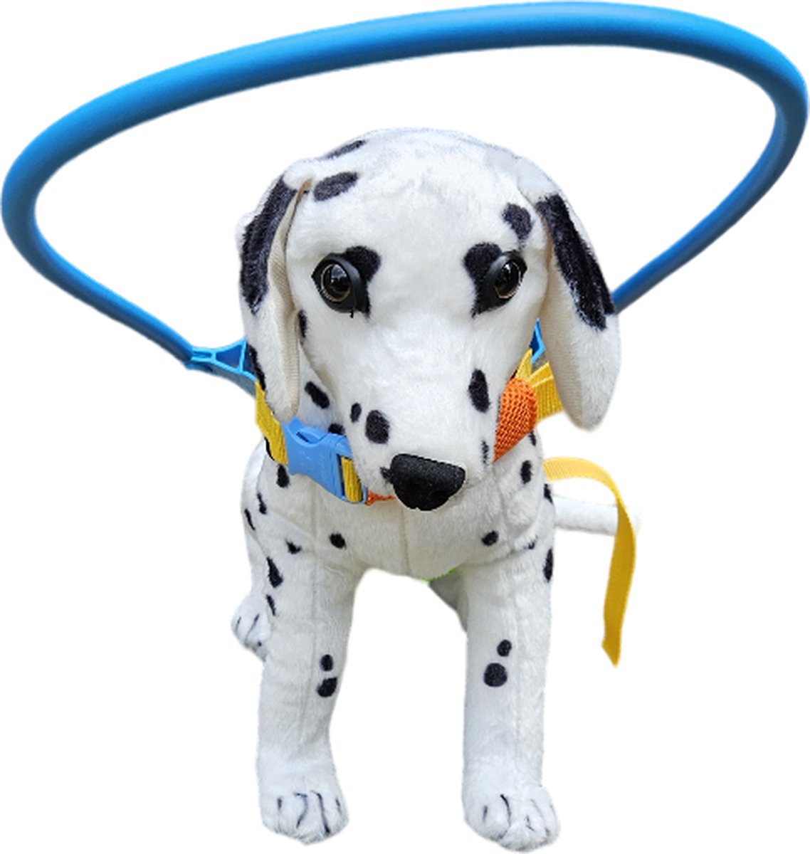 Halsband für Blinde Hunde - Die 15 besten Produkte im Vergleich