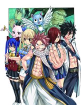 De hoofdpersonen van Fairy Tail, waaronder Natsu, Lucy, Gray, Erza, Wendy, Happy en Charle, staan op een rij.