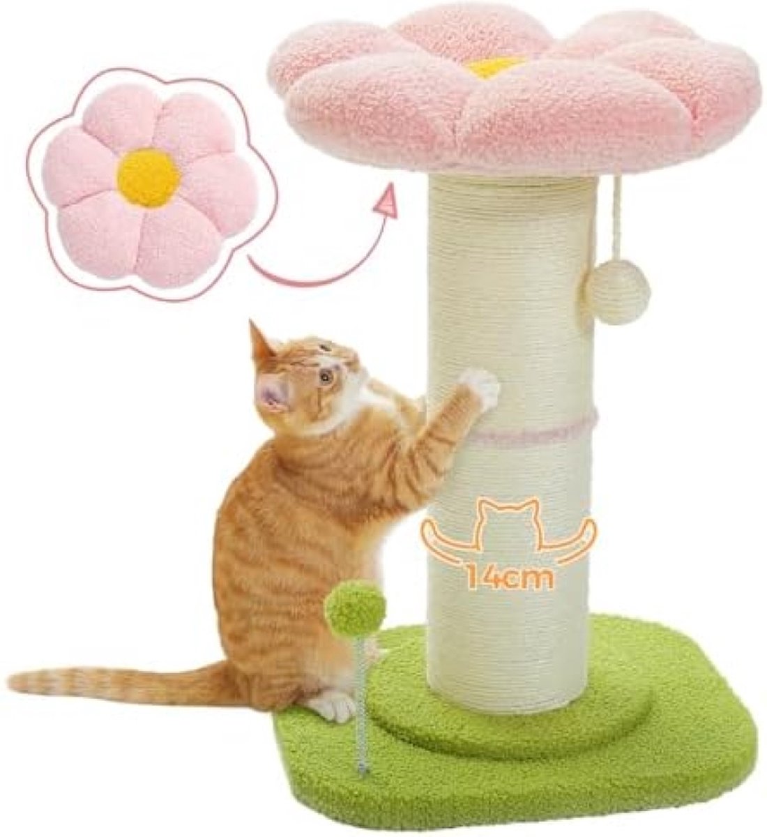 Krabpaal | Bloemen – Alle katten – Sfeervolle uitstraling