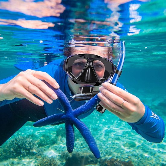 Dorlle Snorkel Dry Snorkelset, snorkelmasker, voor volwassenen, met duikbril en anti-lek, anti-condens, helder en blauw
