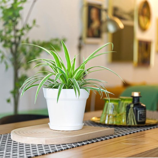 Bloempotten kopen? | Tuincentrum De Boet