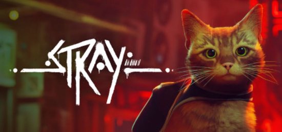 Een close-up van een kat met groen ogen, met de 'Stray'-logo op de achtergrond.