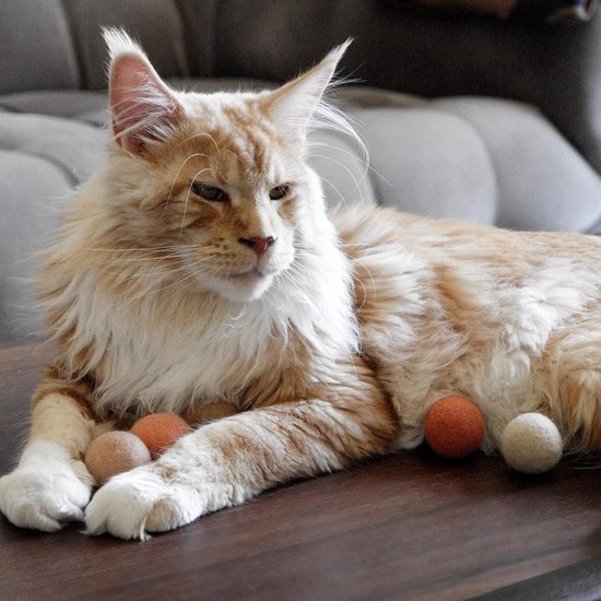 PFLYPF Interactieve Kattenspeelgoed - 6 Wollen en 2 Pluche Ballen, Vilten Ballen, Kittenspeelgoed, Elastische Kauwballen Voor Training en Spel