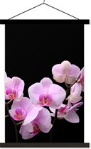 Posterhanger incl. Poster 40x60 cm - Schoolplaat - Orchidee - Bloemen - Roze - Flora - Textielposter - Zwarte latten