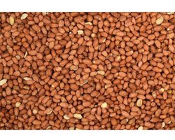 Wielink Pinda’s gepeld 1 KG kleinverpakking