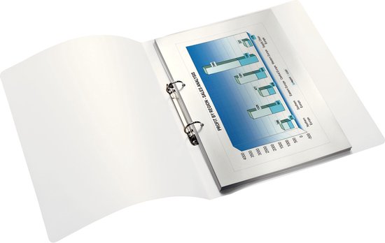 Wit ringband met een open staande pagina waarop een staafdiagram met de tekst 'PROFIT BY REGION - SALES ANALYSIS'.