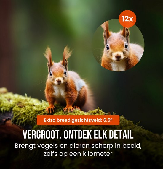 Eekhoorn op mos, bekeken door 12x verrekijker. Tekst 'VERGROOT. ONTDEK ELK DETAIL'.