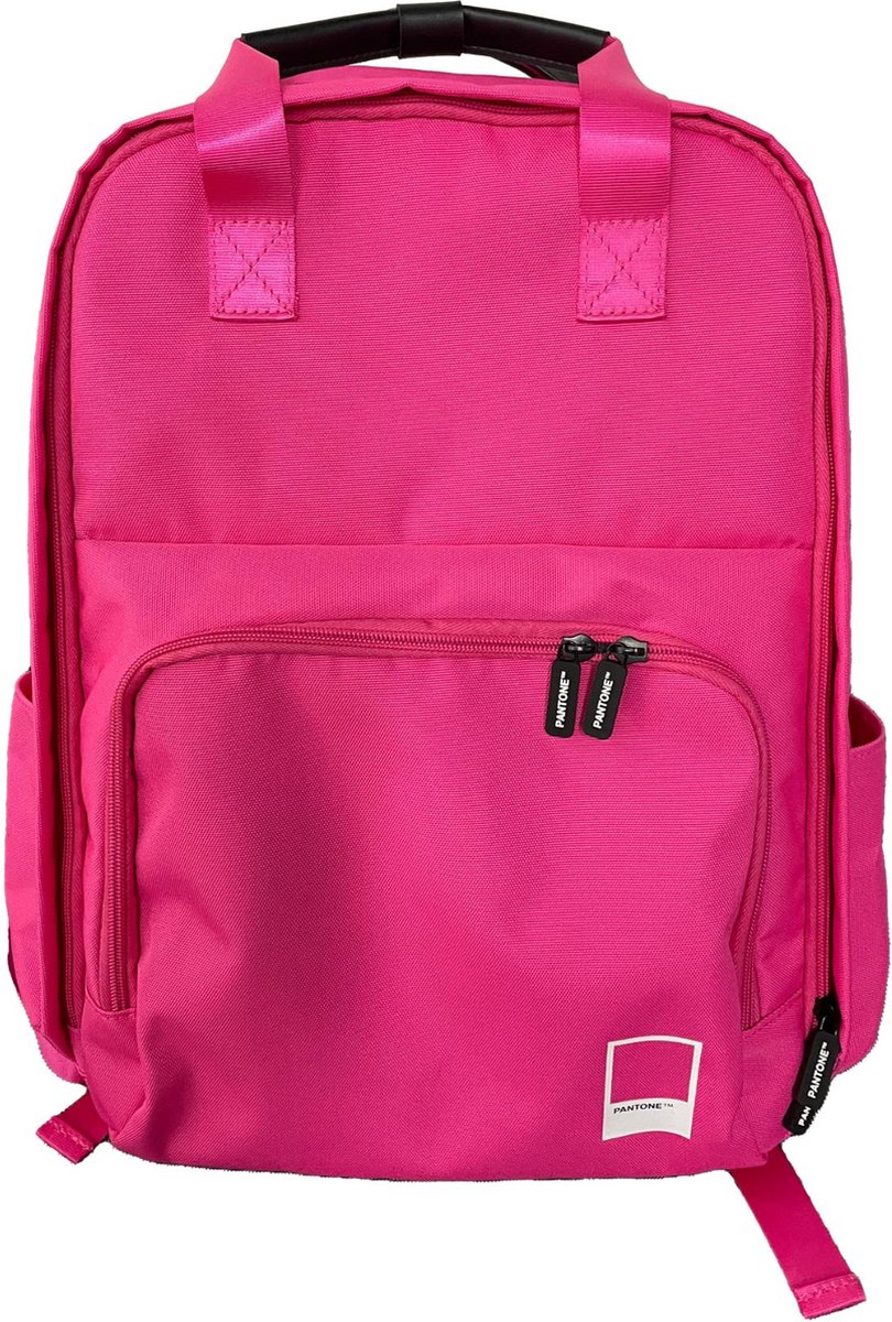 Laptop Backpack Pantone PT-BPK0021R Pink 15,6"