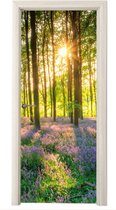 Deurposter 80x205 cm - Deursticker Lente - Bos - Zon - Meubelfolie zelfklevend - Deurfolie woonkamer - Interieurfolie fotobehang - Deur plakfolie - Deurstickers - Deurbehang sticker - Kamer decoratie