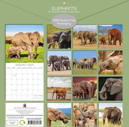 Alles over olifanten - World Animal Protection