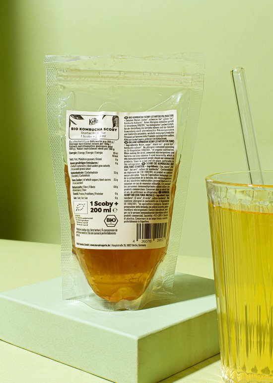 KoRo | Bio kombucha SCOBY