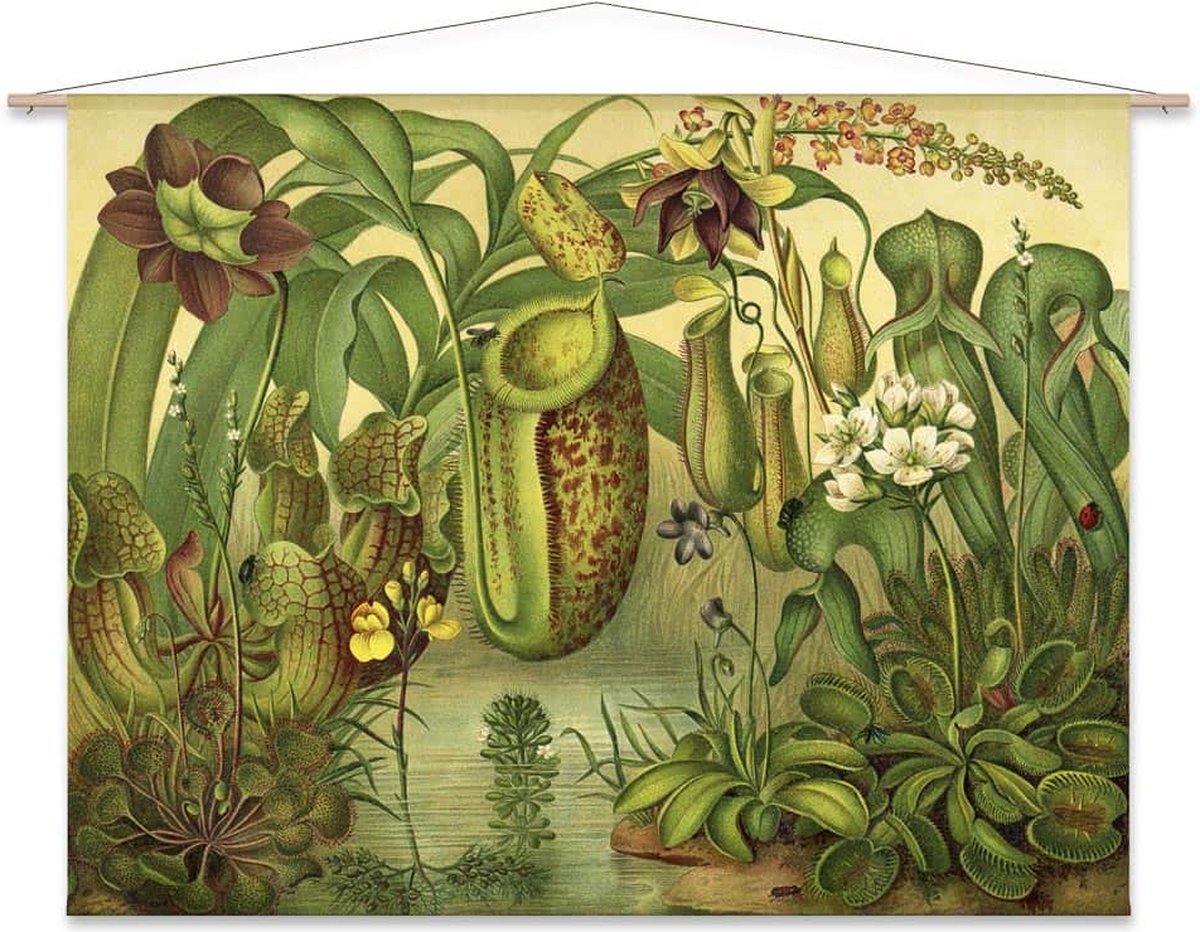 Wanddoek-XL Bekerplanten (zonder houten stokken)