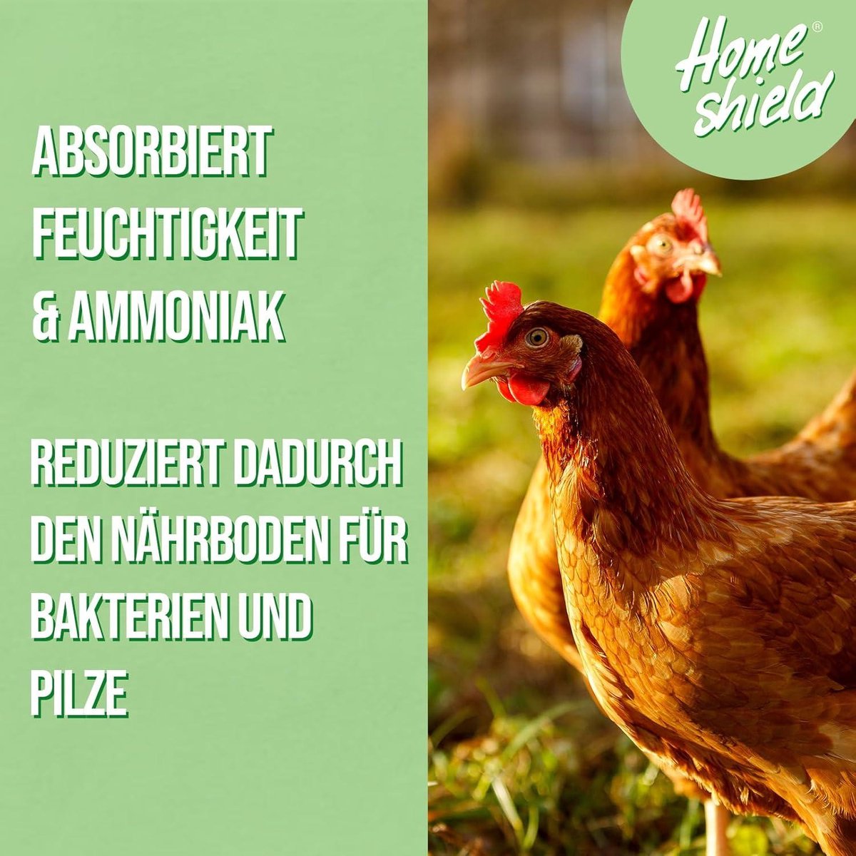 GreenPet KiesoVet Kieselgur für Hühner 4kg - Reine biologische Diatomeenerde inkl. Stäubeflasche im Eimer, Kieselerde Pulver, Bio Produkt für Hühnerställe, Hühner & Geflügel Betriebe