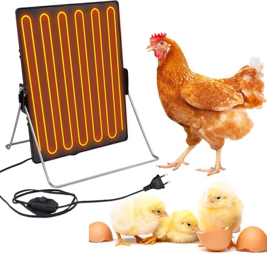 Kippen in de winter: maak het kippenhok winterproof! - Pets Place