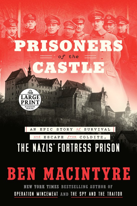 Prisoners of the Castle - cover