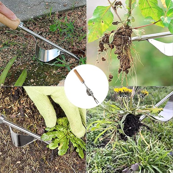 Stainless Steel Weed Cutter Remover - Wooden Handle Lawn Edge Device for Moss Removal Tools — afbeelding 3