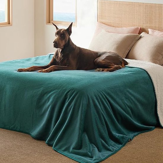 Lesure Waterdichte hondendeken grote honden - 229x218cm wasbare hondendeken buiten, XXXL fleece bankbeschermingsdeken groot, pluizige kattendeken voor bank, crèmekleur Lesure Waterdichte hondendeken grote honden - 229x218cm wasbare hondendeken buiten, XXXL fleece bankbeschermingsdeken groot, pluizige kattendeken voor bank, crèmekleur
