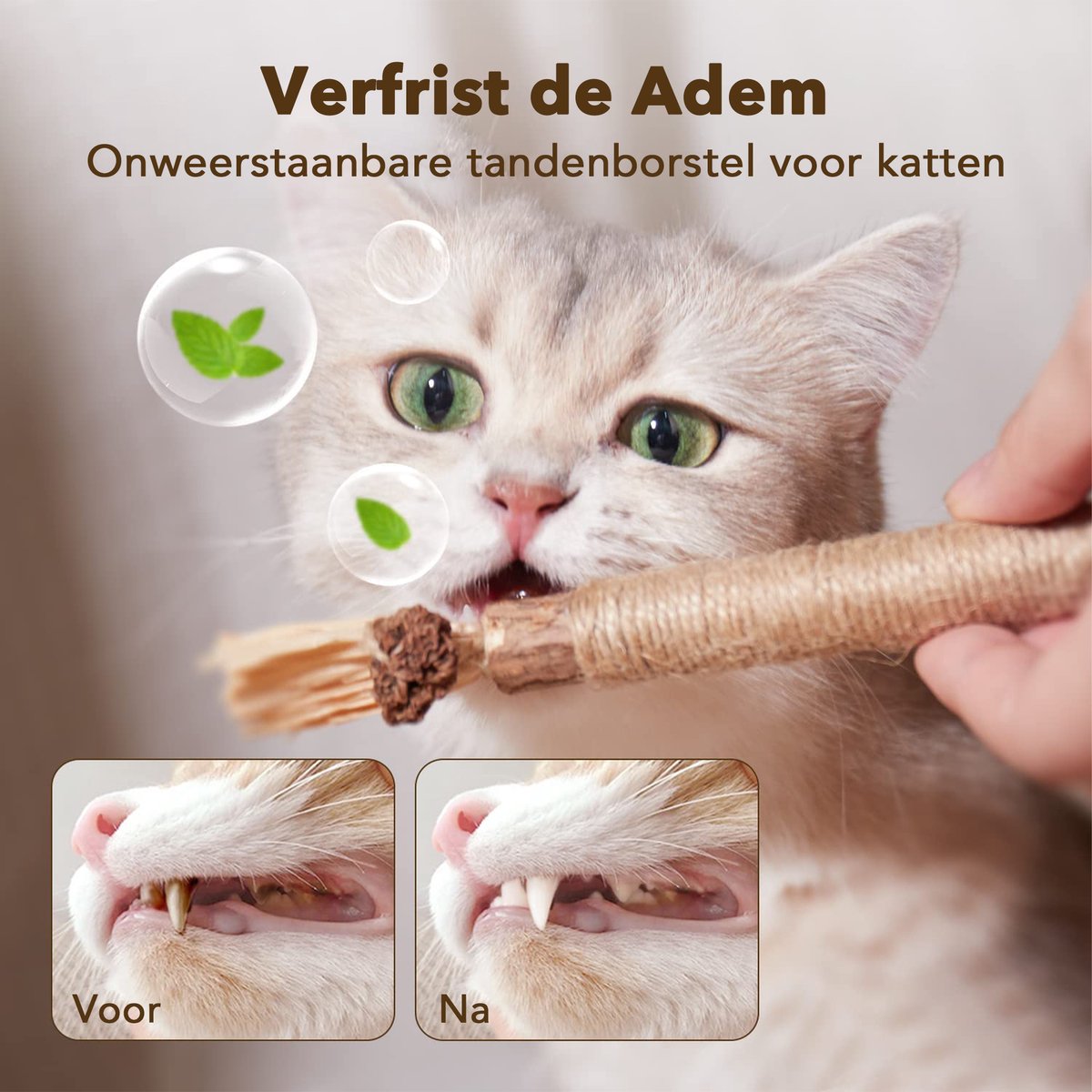 3 stuks kat natuurlijke silvervine kauwstokken - kat