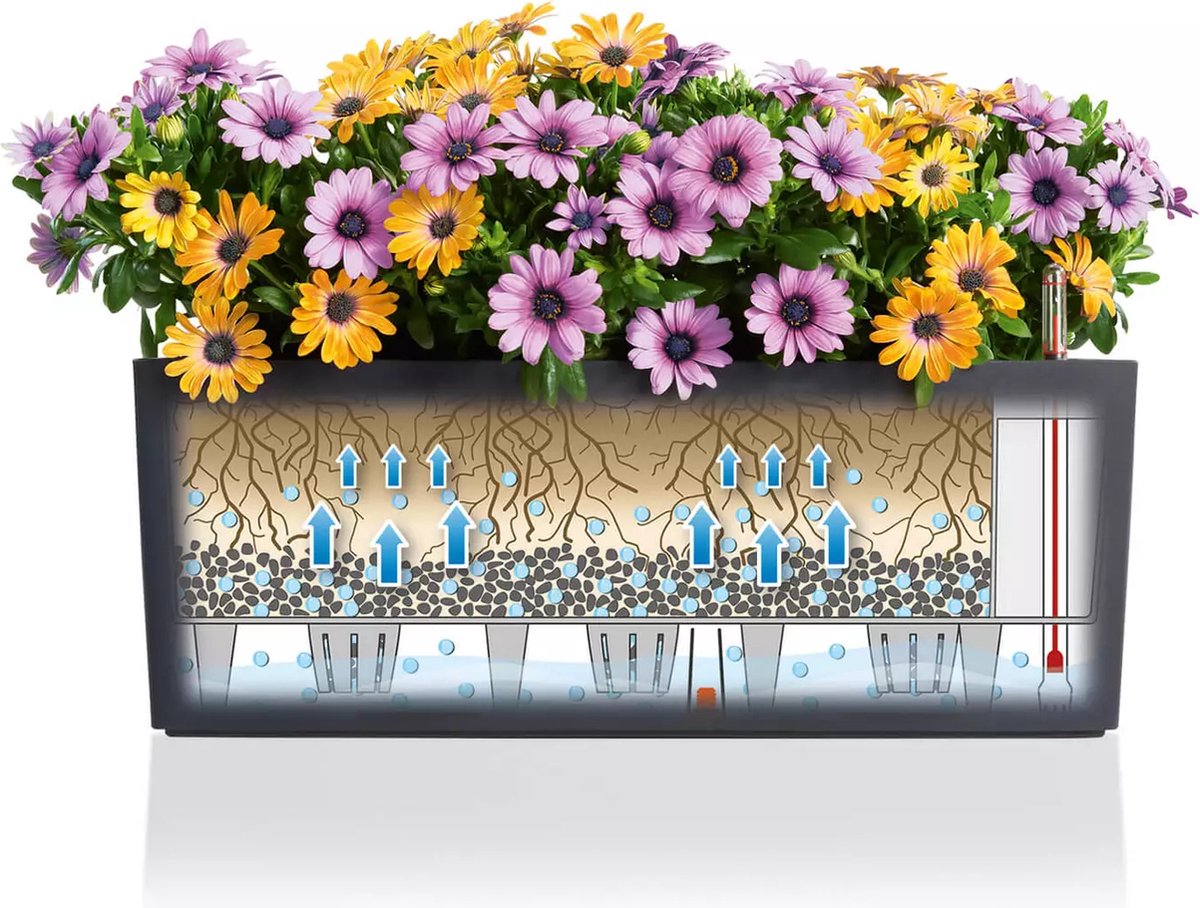 Lechuza Balconera Cottage 50 - Planter - with removable inner pot