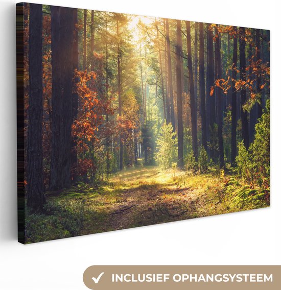 Foto: Canvas schilderij herfst bos bomen lichtinval natuur schilderijen op canvas 120x80 cm muurdecoratie decoratie