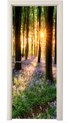 Groen, Bos, Lavendel
