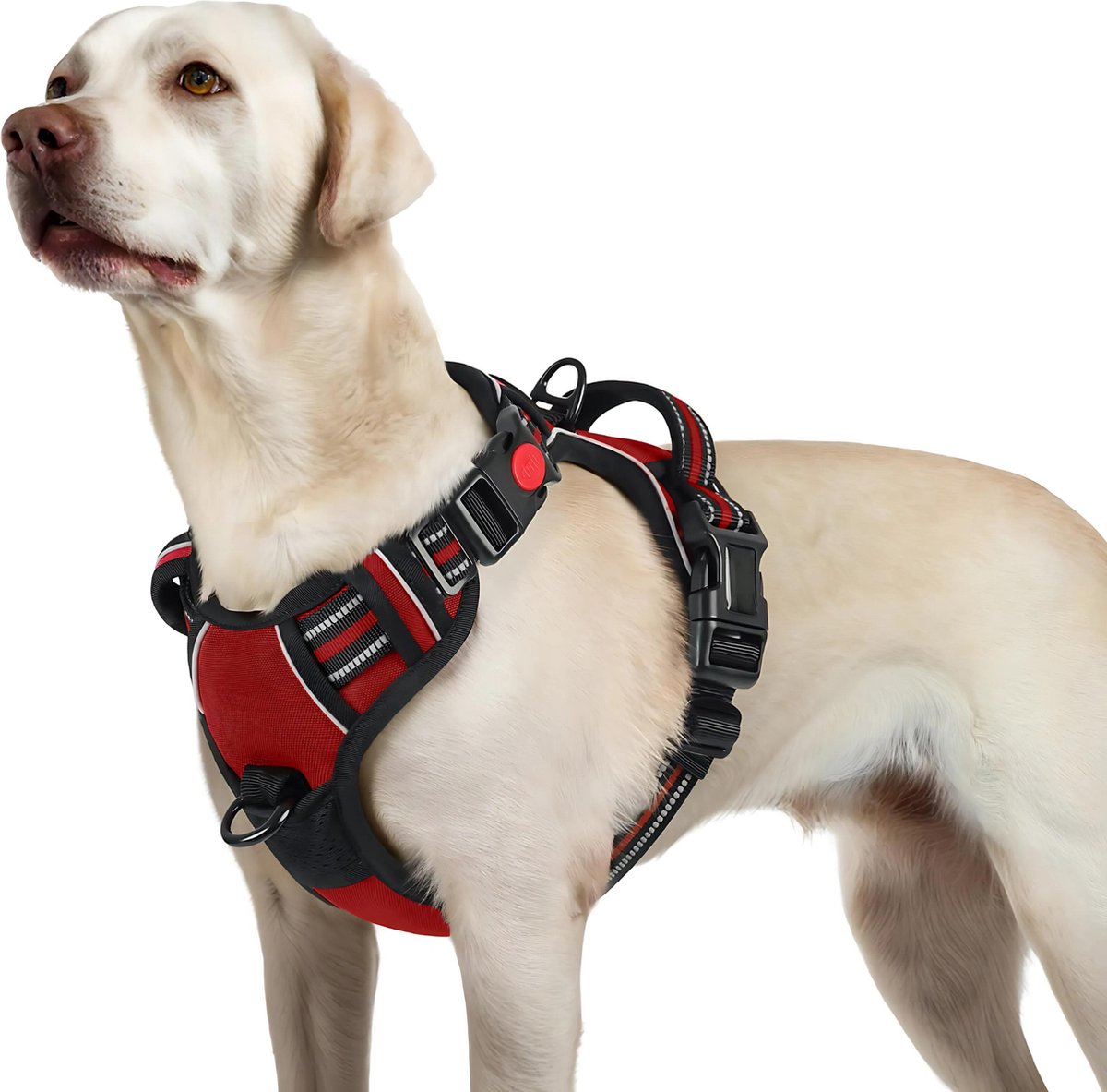 JAXY Hondenharnas Y-tuig rood maat L voor kleine hond