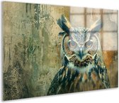 Uil glas schilderij - Dieren glas schilderij - Wanddecoratie Achtergrond - Klassieke schilderijen - Schilderijen plexiglas - Muurdecoratie slaapkamer acrylglas 60x40 cm