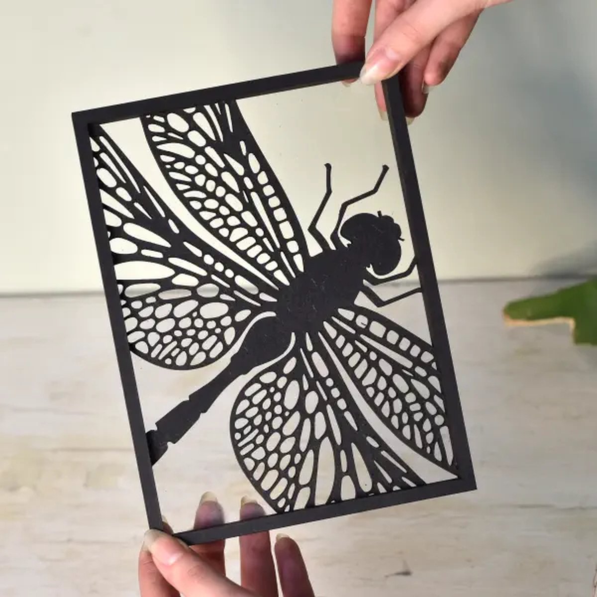 Houten lijstje – Floating Frames – Libelle