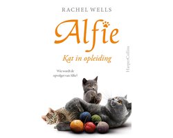 Alfie - Kat in opleiding