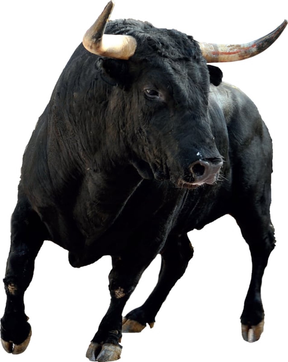 Muursticker Stier XL