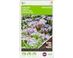 Buzzy® Groenbemester Phacelia tanacetifolia - 100 Gram