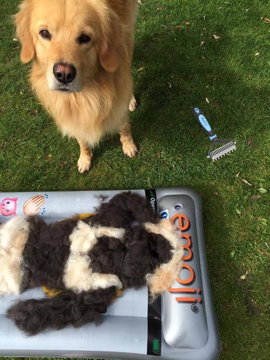 Vachtverzorging voor je hond: de beste tips & producten