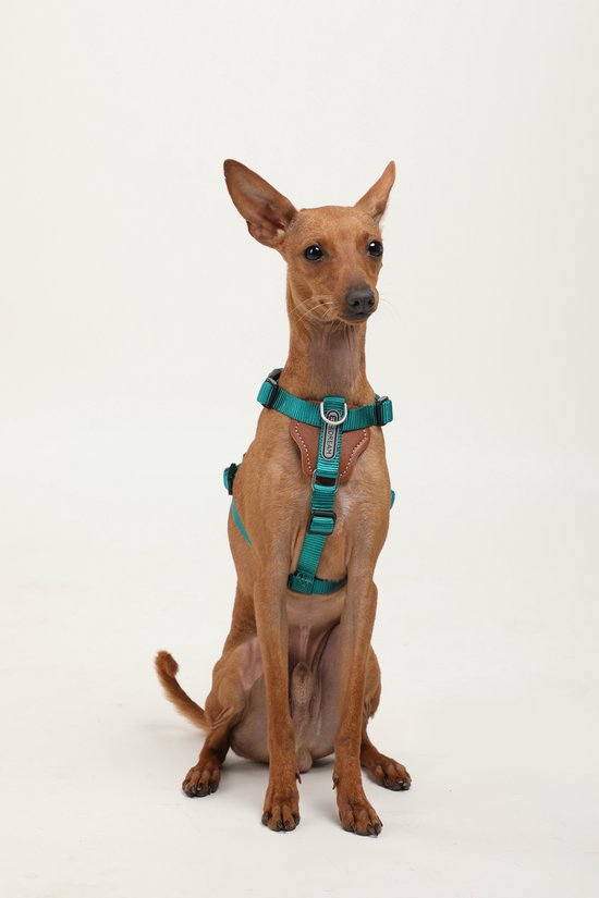 Kurgo K9 Core hondentrui | het hele jaar door trui voor honden | fleece