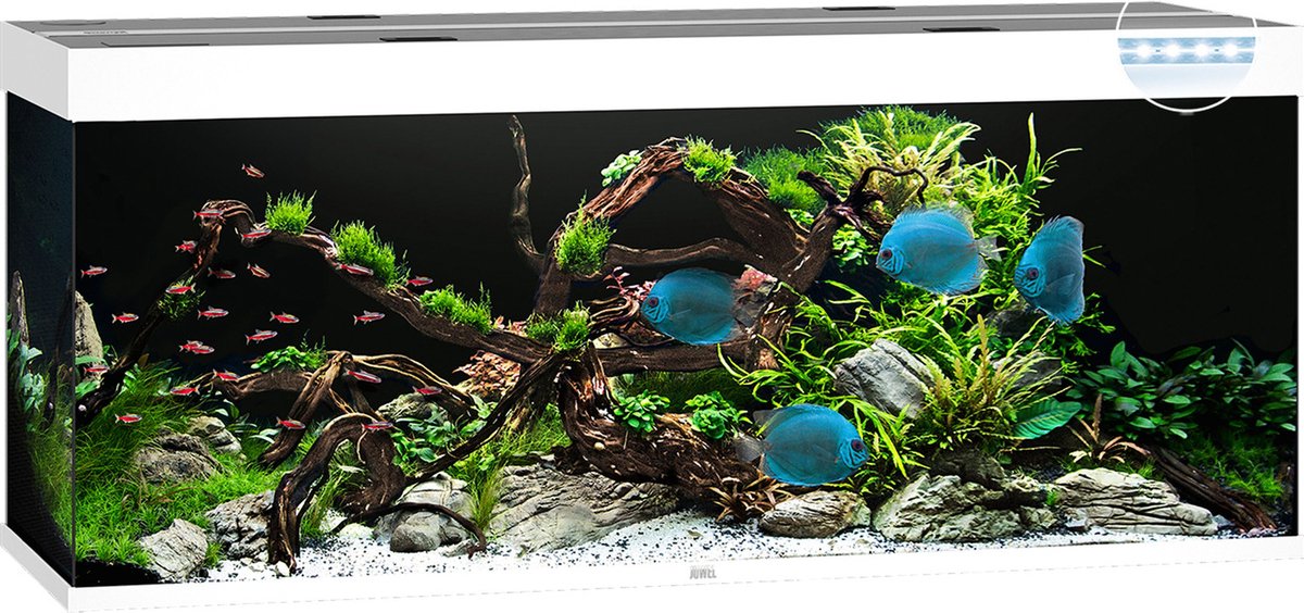 Bol.com Juwel Rio 450 LED Aquarium - Wit - 450L - 151 x 51 x 66 cm aanbieding