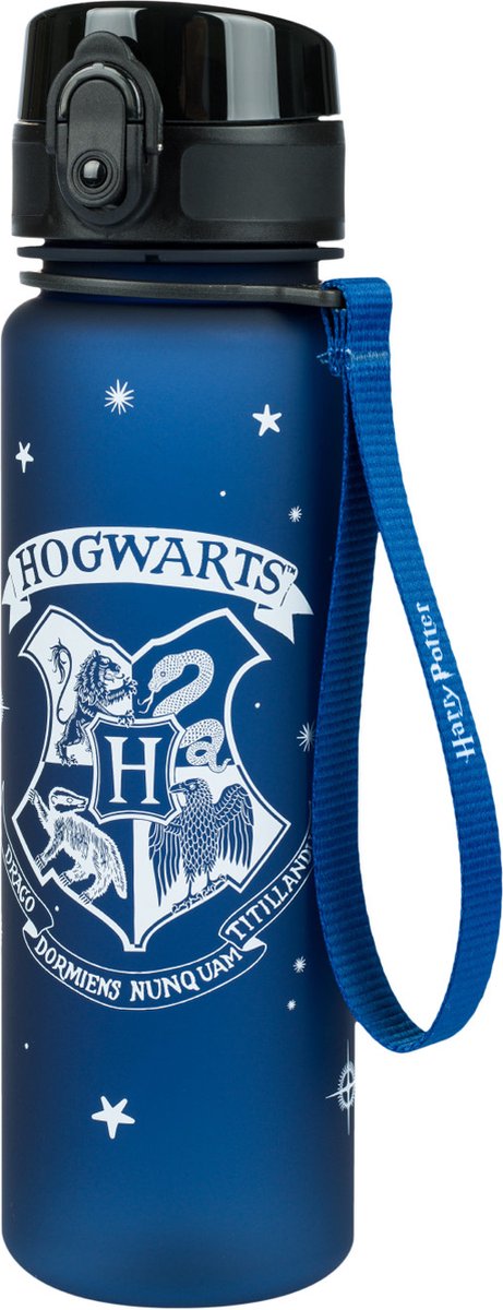 Baagl Harry Potter Hogwarts Drinkfles 500ml