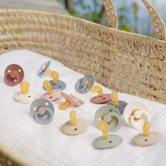 Bibs Blush/Woodchuck 6-18 Mois 2 Pièces Sucette Anatomique 2211421