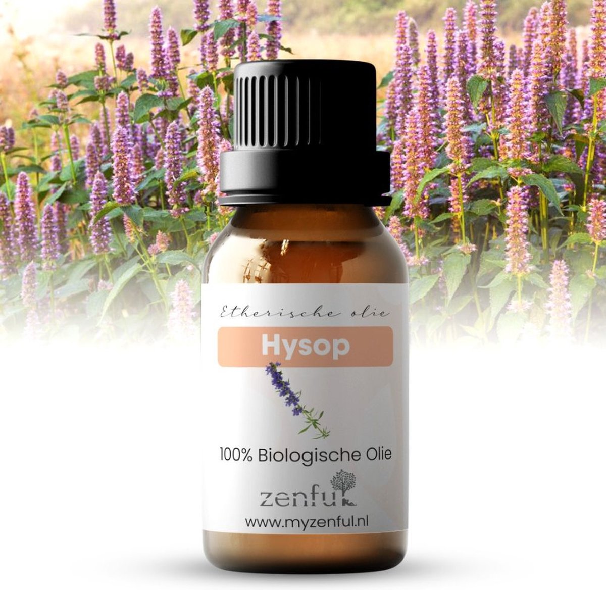 Goedkoopste Hysop etherische olie - Biologisch, natuurlijk & puur - 10ml