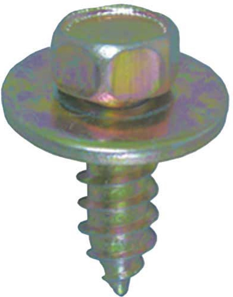 Zeskantplaatbout 5.5x13mm