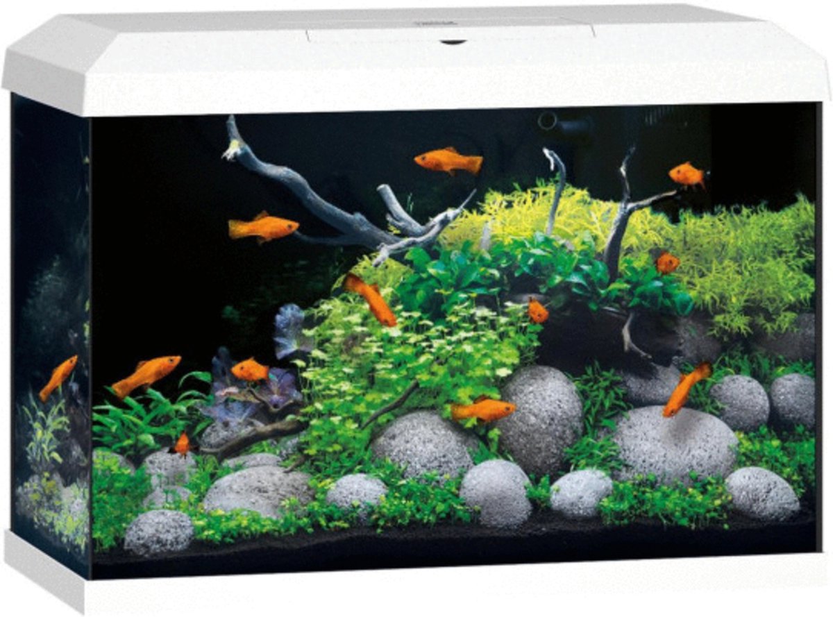 Bol.com Juwel Aquarium Primo 70 2.0 62x32x41 cm - Aquaria - Zwart Ca. 70 L aanbieding