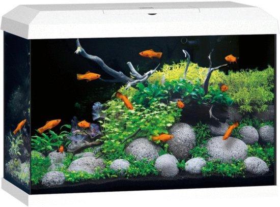 Juwel Aquarium Primo 70 2.0 62x32x41 cm - Aquaria - Zwart Ca. 70 L