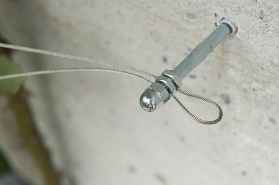 Nature - Spandraadsysteem voor klimplanten - 10m - verzinkte kabel - spandraad