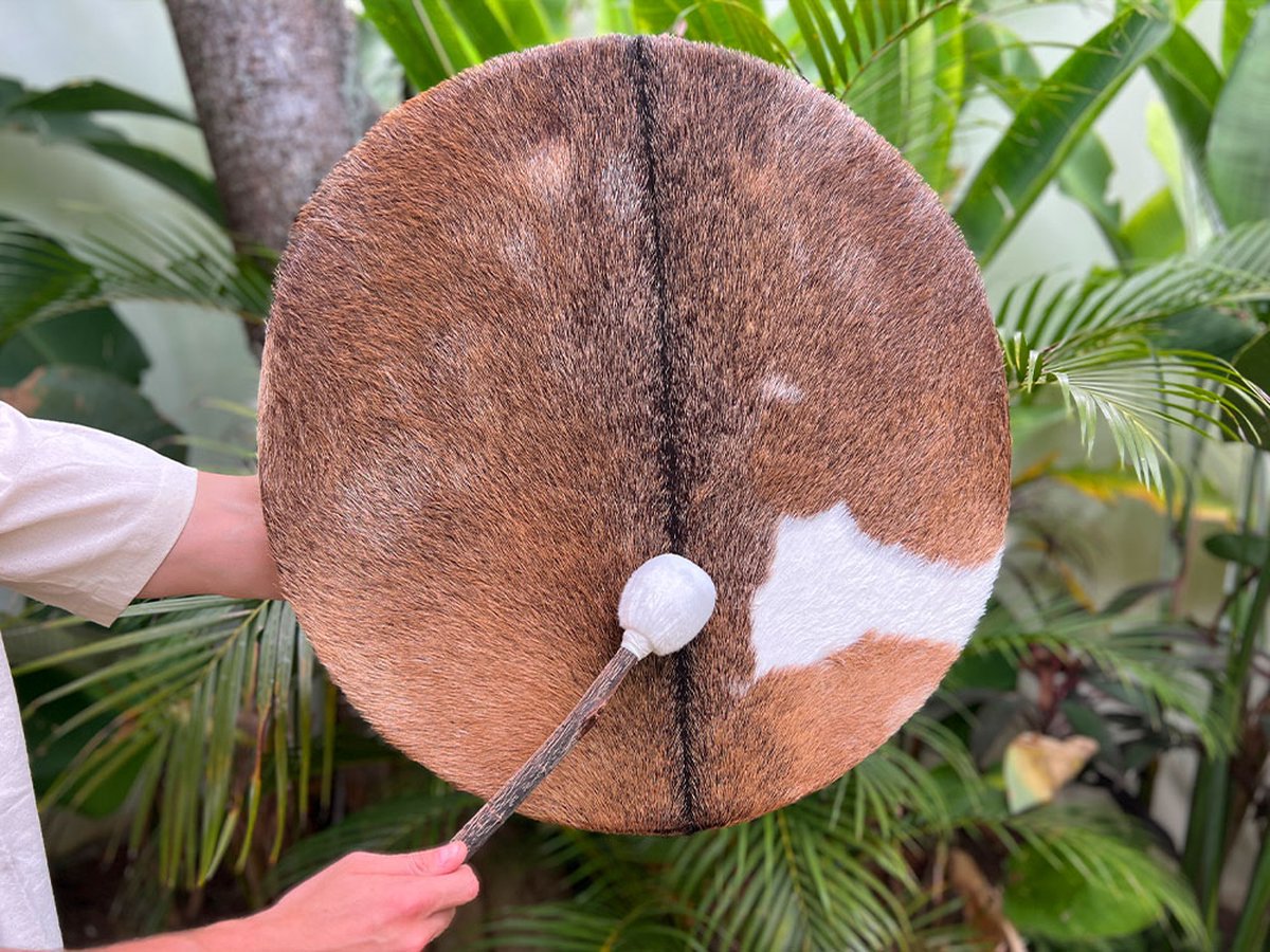 LIDAH® Sjamanendrum - 60cm Traditioneel Gevacht - Sjamaanse Shaman Drum - Sjamanen Percussie voor Volwassenen - Spirituele Sjamaan Trommel