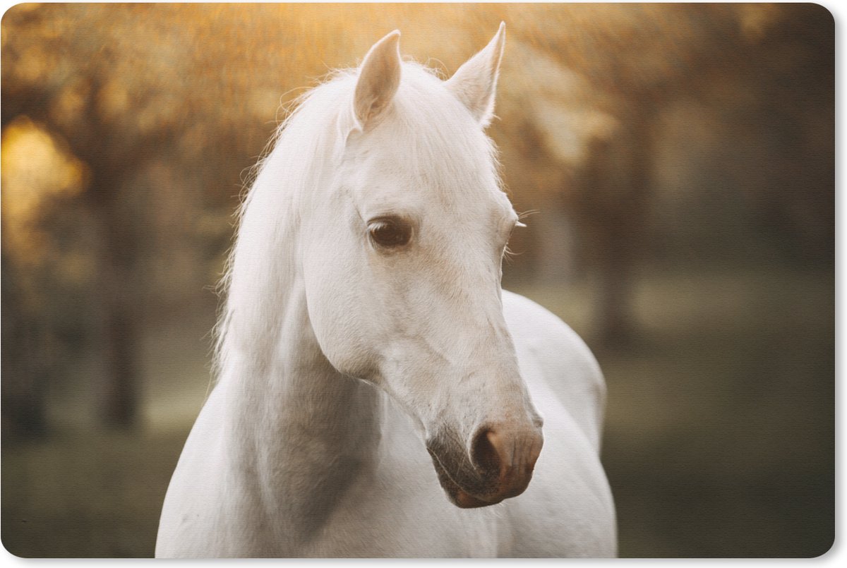 Muismat 27x18 cm - Mousepad Paard - Zon - Herfst - Dieren - Natuur - Muismatten